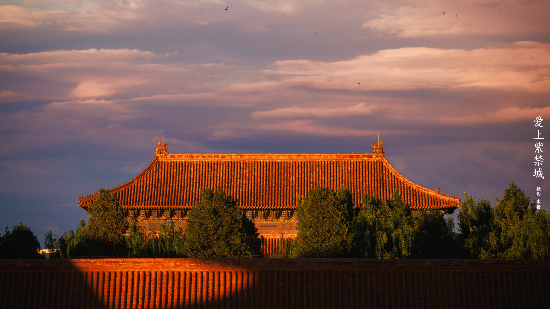 The Forbidden City